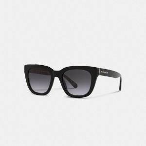 Black Coach Legacy Stripe Square Sunglasses Women Eyewear | 0642FGETV