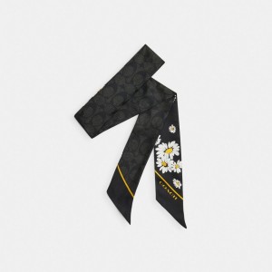 Black Coach Signature Daisy Cluster Print Silk Skinny Scarf Women Hats Scarves & Gloves | 1692HYUOZ