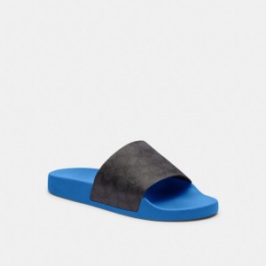 Blueberry Coach Slide Men Sandals & Slides | 2158OKZVT