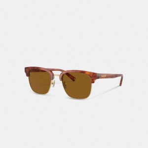 Brown Coach Retro Men Sunglasses | 7206HDAVP