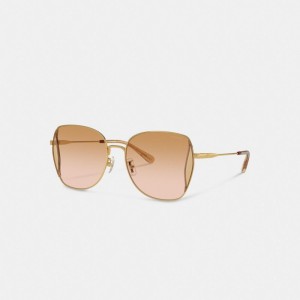 Coral Pink Multicolor Coach Oversized Butterfly Sunglasses Women Eyewear | 7126YAITP