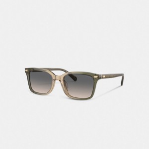 Green/Tan Gradient Coach Narrow Square Men Sunglasses | 4639HAZRJ