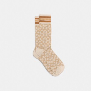 Hazelnut Coach Signature Socks Women Hats Scarves & Gloves | 8746HZFYO