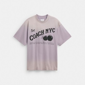 Purple Coach Signature Apple T Shirt Men Tops & Bottoms | 0397INJBX