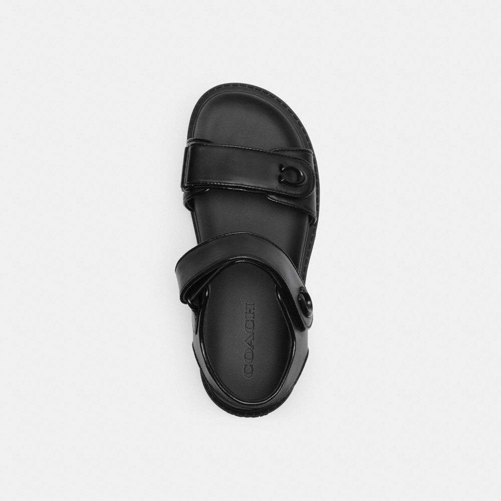 Black Coach Brynn Sandal Women Sandals | 7835MHISO