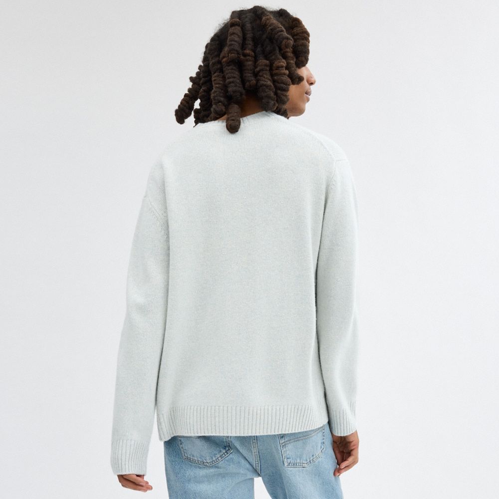 Blue Coach Sweater Men Tops & Bottoms | 0329TSDIX