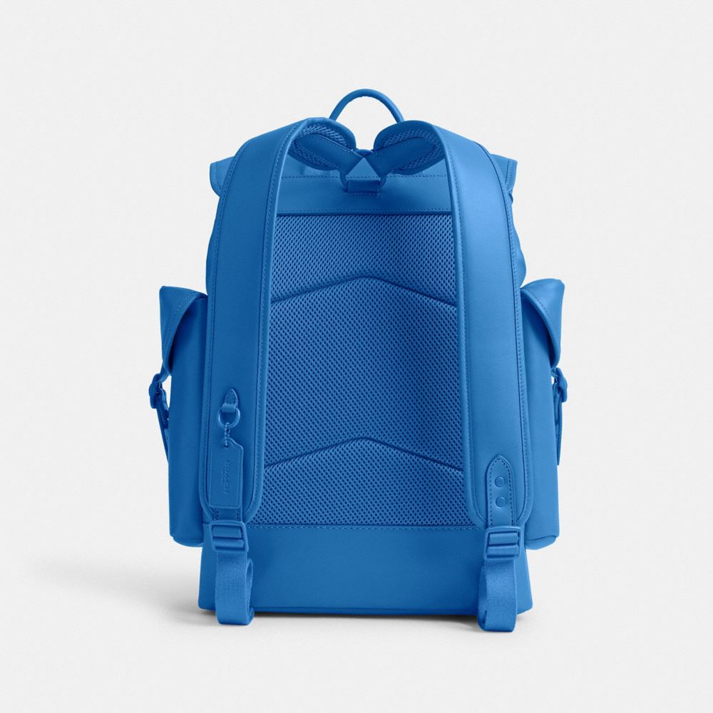 Blueberry Coach Hitch Men Backpacks | 8597QLFPK