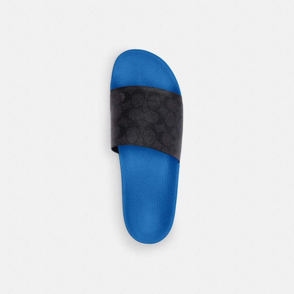 Blueberry Coach Slide Men Sandals & Slides | 2158OKZVT