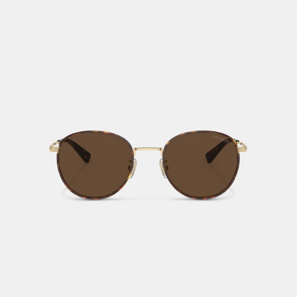 Brown/Gold Coach Metal Windsor Round Men Sunglasses | 1285AIMBE