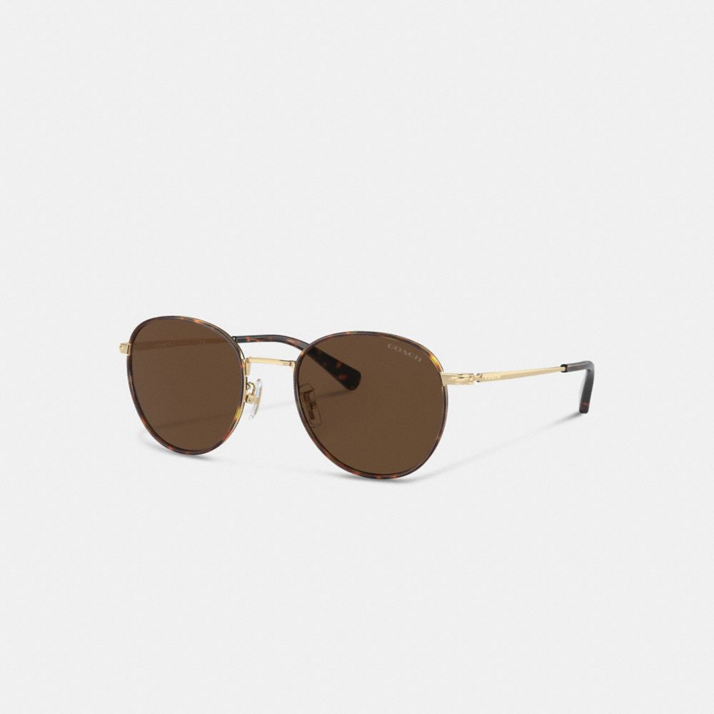 Brown/Gold Coach Metal Windsor Round Men Sunglasses | 1285AIMBE