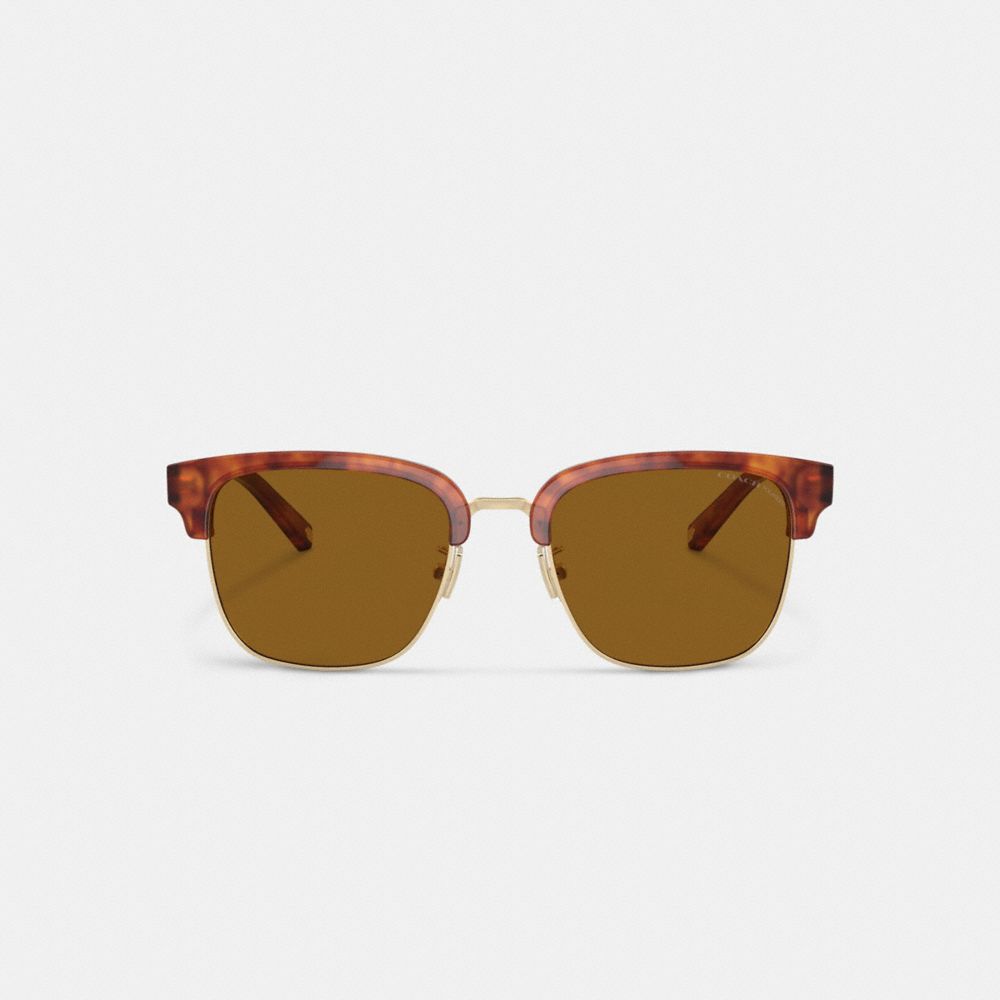 Brown Coach Retro Men Sunglasses | 7206HDAVP