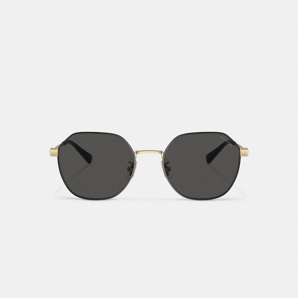 Gold Black Coach Hinged Geometric Round Men Sunglasses | 1387WKZCS