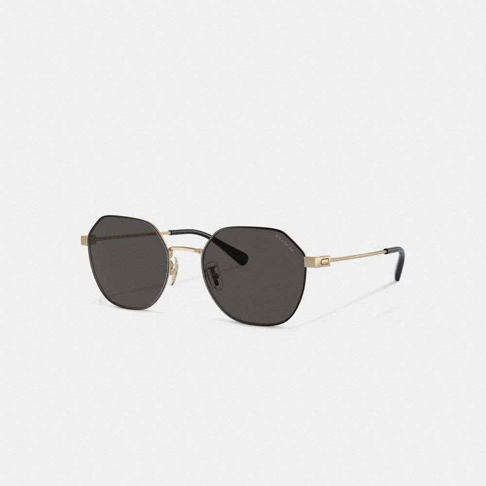 Gold Black Coach Hinged Geometric Round Men Sunglasses | 1387WKZCS