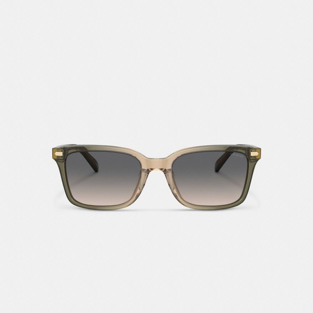 Green/Tan Gradient Coach Narrow Square Men Sunglasses | 4639HAZRJ