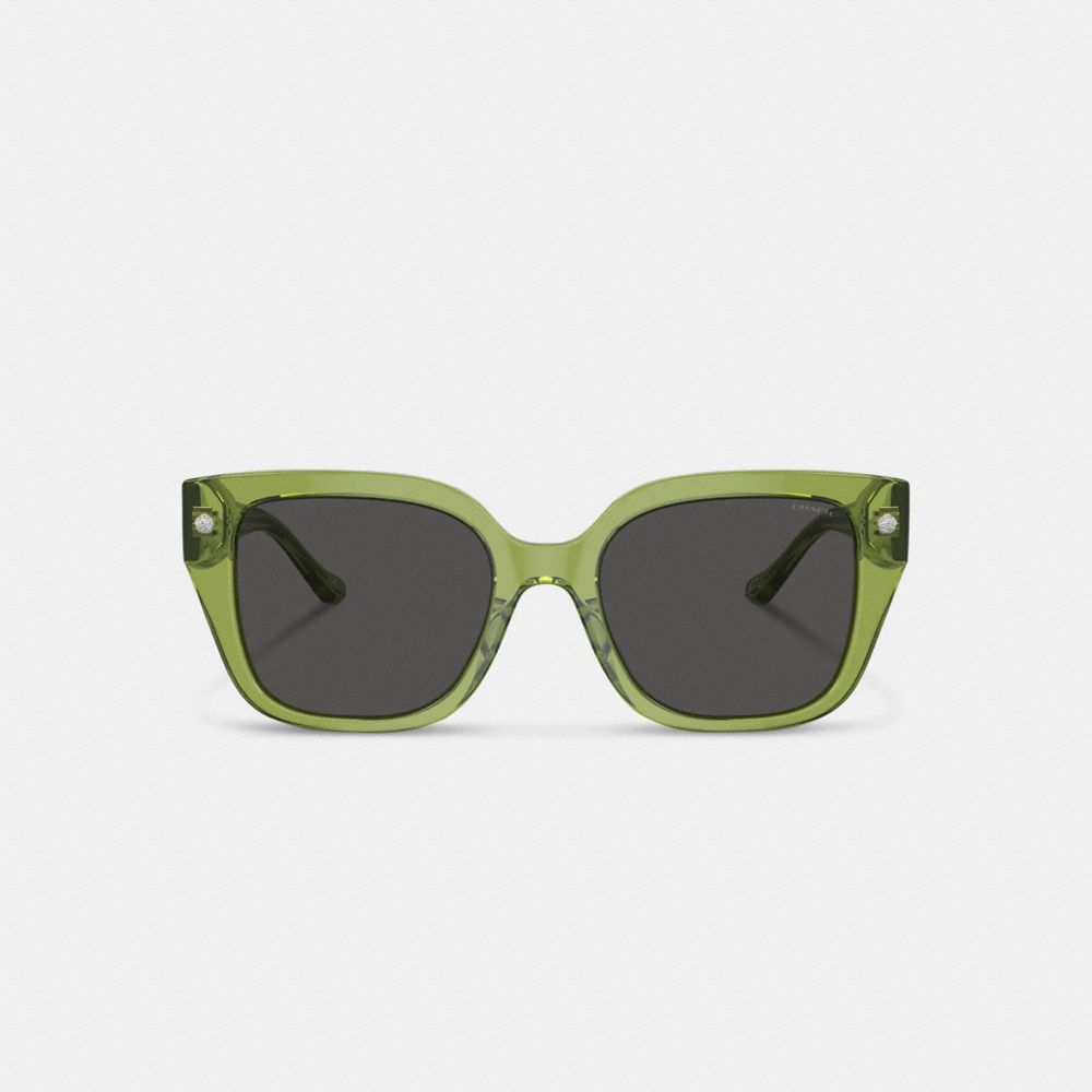 Green Coach Charms Oversized Square Sunglasses Women Eyewear | 4631HFDMS