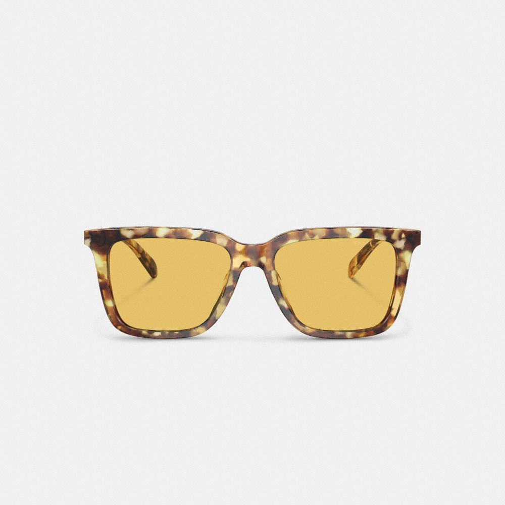 Honey Tortoise Coach Signature Square Men Sunglasses | 1459CDHNY