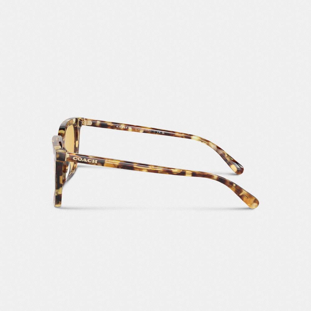 Honey Tortoise Coach Signature Square Men Sunglasses | 1459CDHNY