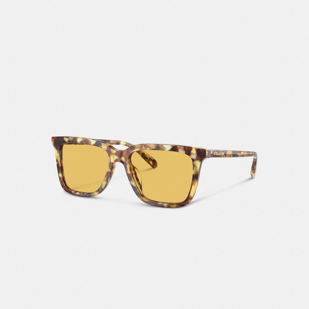 Honey Tortoise Coach Signature Square Men Sunglasses | 1459CDHNY