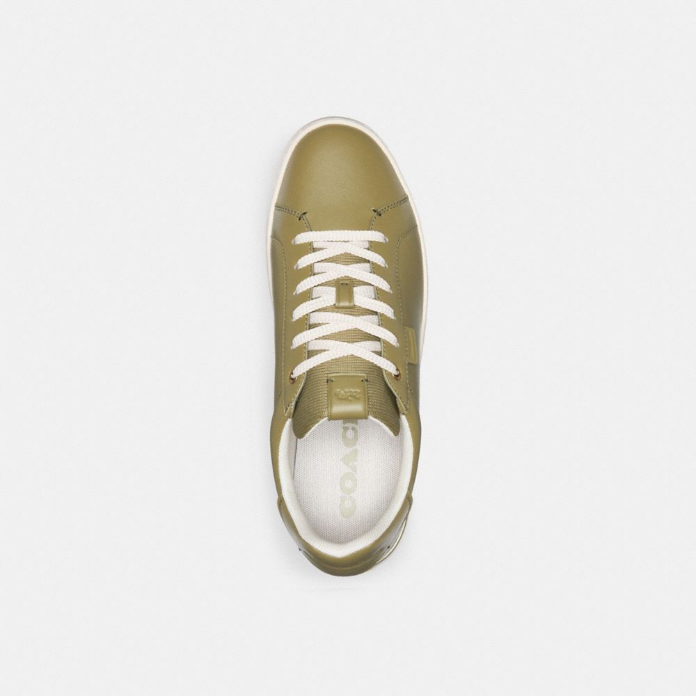 Moss Coach Lowline Low Top Men Sneakers | 9726NUBYC