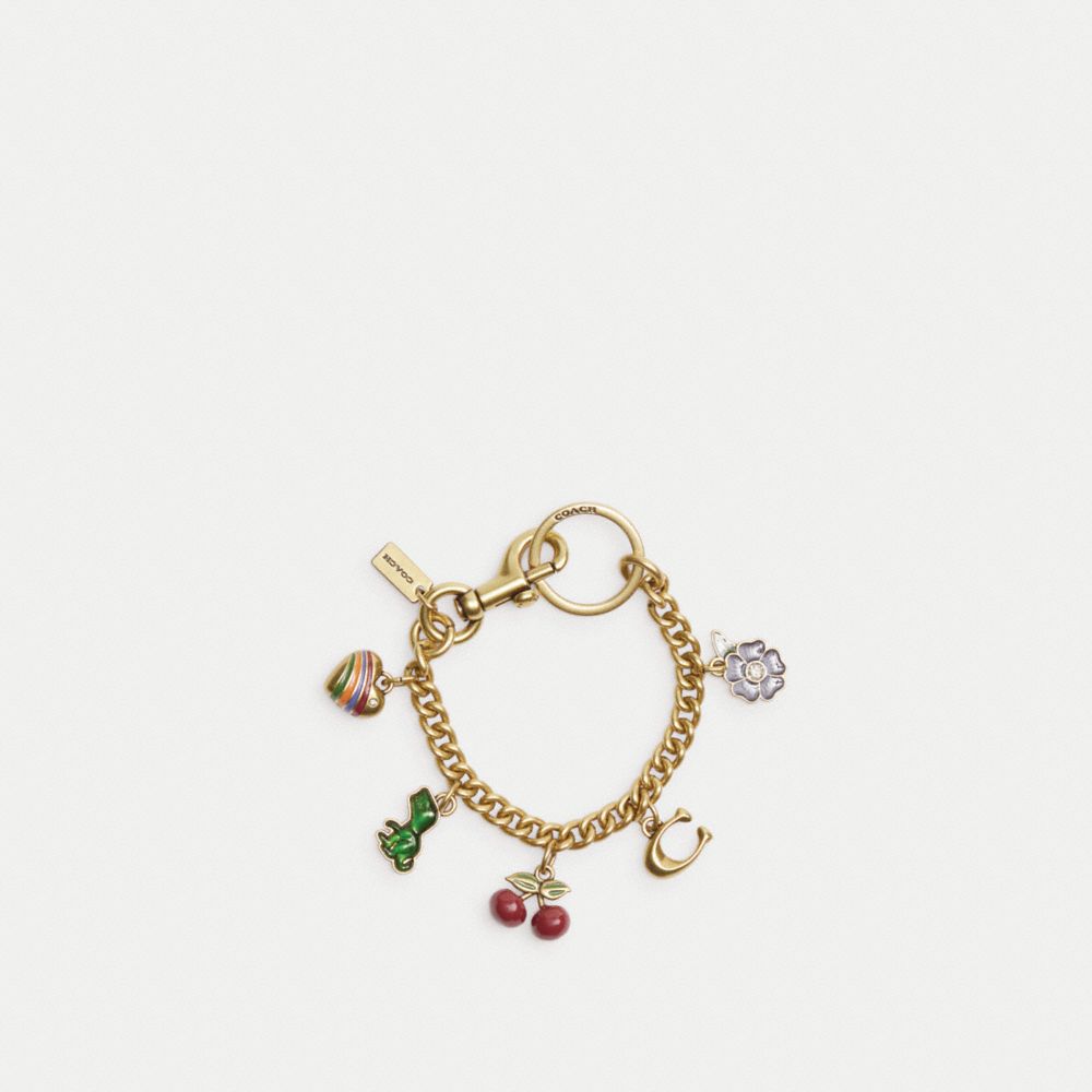 Multicolor Coach Motif Chain Bag Charm Women Straps, Charms, and Keyrings | 3260SEUDI