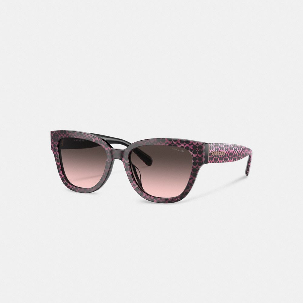 Ruby Pearlized Signature Coach Signature Round Sunglasses Women Eyewear | 1756LPWRZ