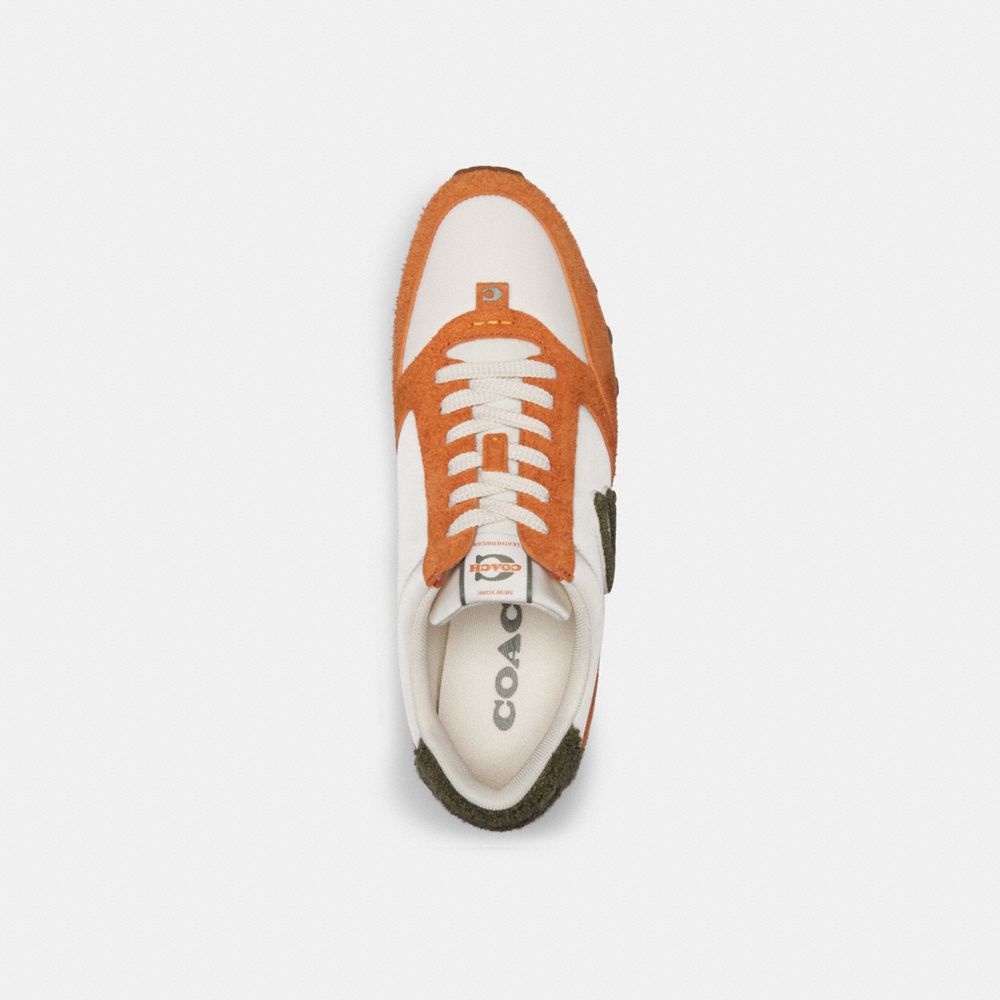 Spice Orange/Chalk Coach Runner Men Sneakers | 4291QFDLN